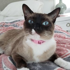 Meet your Posher, Nancy